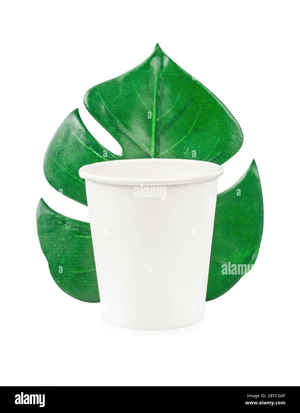 Eco friendly Craft tazza di carta monstera foglia isolato su sfondo bianco, Salva percorso di ritaglio. Concetto di riciclaggio. Tema zero rifiuti Foto Stock