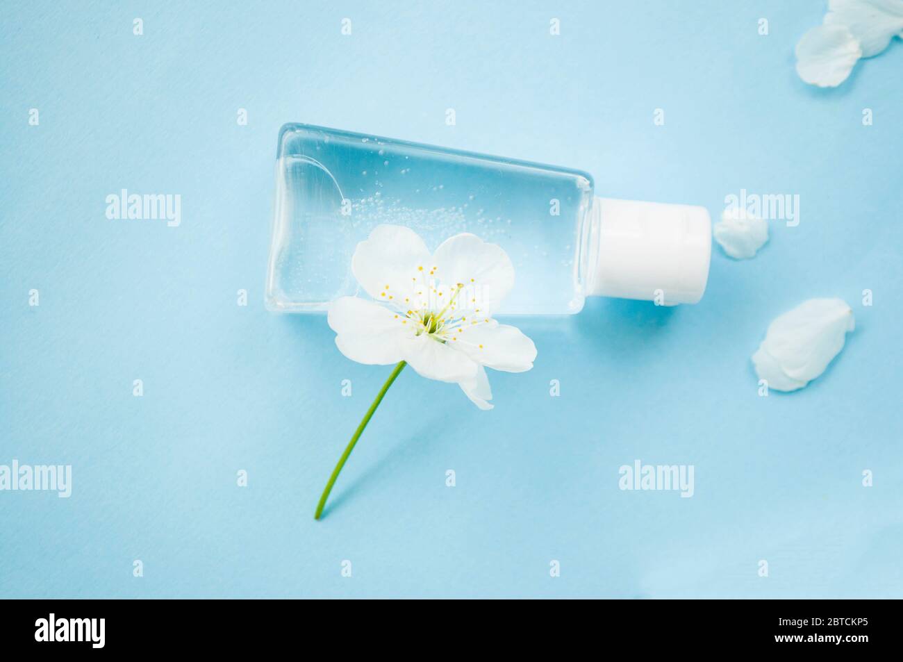 Bottiglia antisettica a mano e fiore di ciliegio fiorito beatful su sfondo blu. Arrestare il concetto di coronavirus. Foto Stock