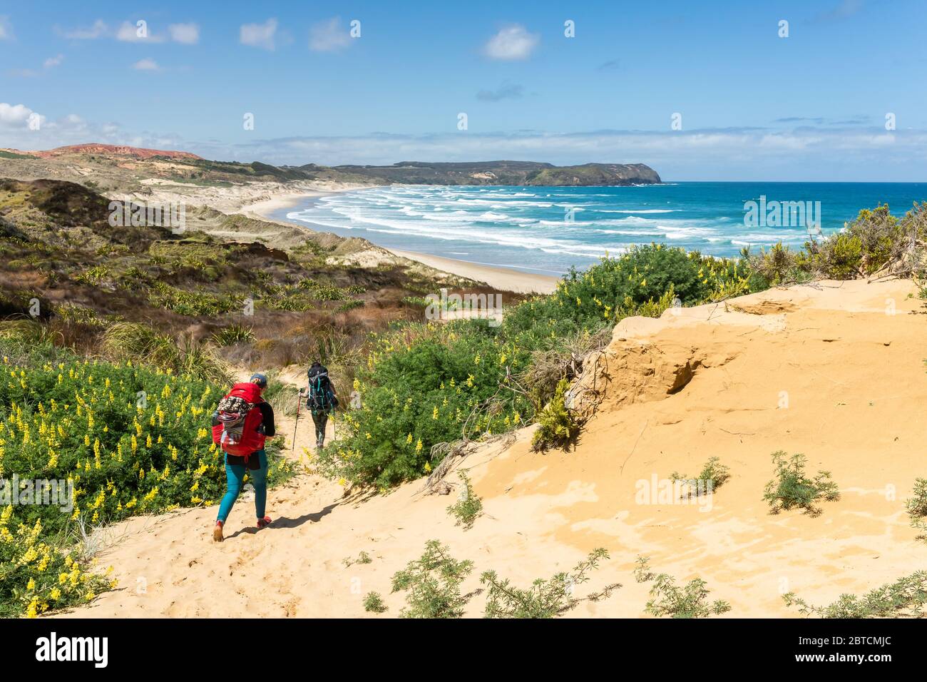 Due escursionisti che camminano su una pista costiera, parte di te Araroa, il sentiero a lunga percorrenza della Nuova Zelanda, ottobre 2019 Foto Stock