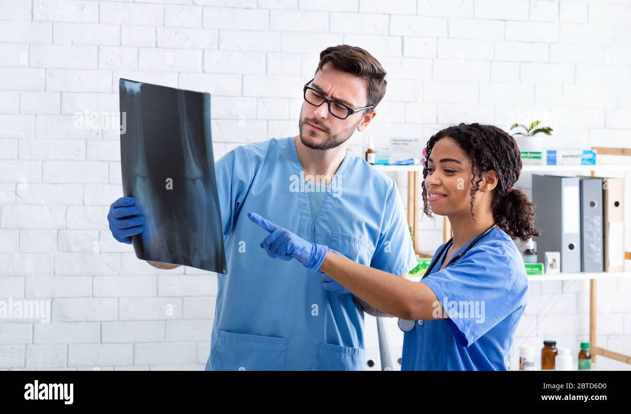 Servizio raggi X PET. Veterinari professionisti che leggono radiografia animale in ospedale Foto Stock