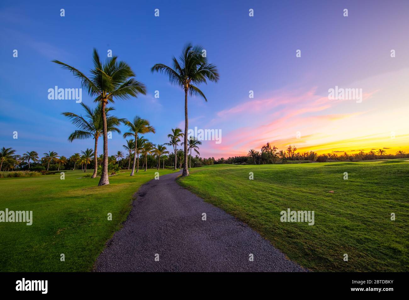 Tropical campo da golf al tramonto, Repubblica Dominicana, Punta Cana Foto Stock