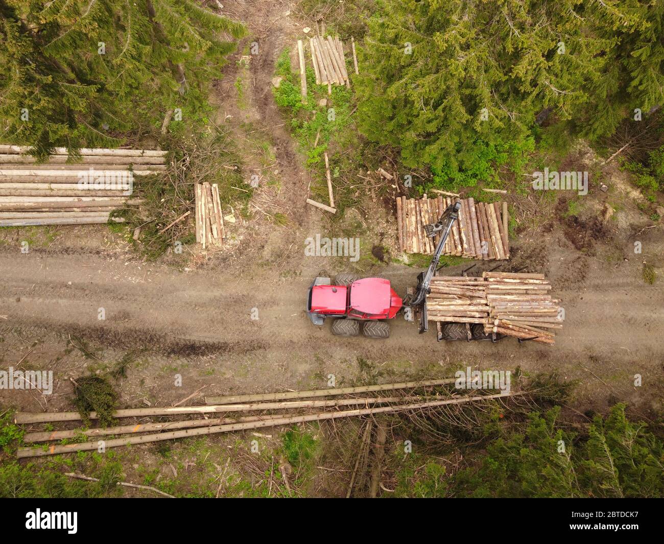 Un trattore rosso sta caricando i tronchi di albero nella foresta di conifere. Vista dall'alto del drone aereo. Foto Stock