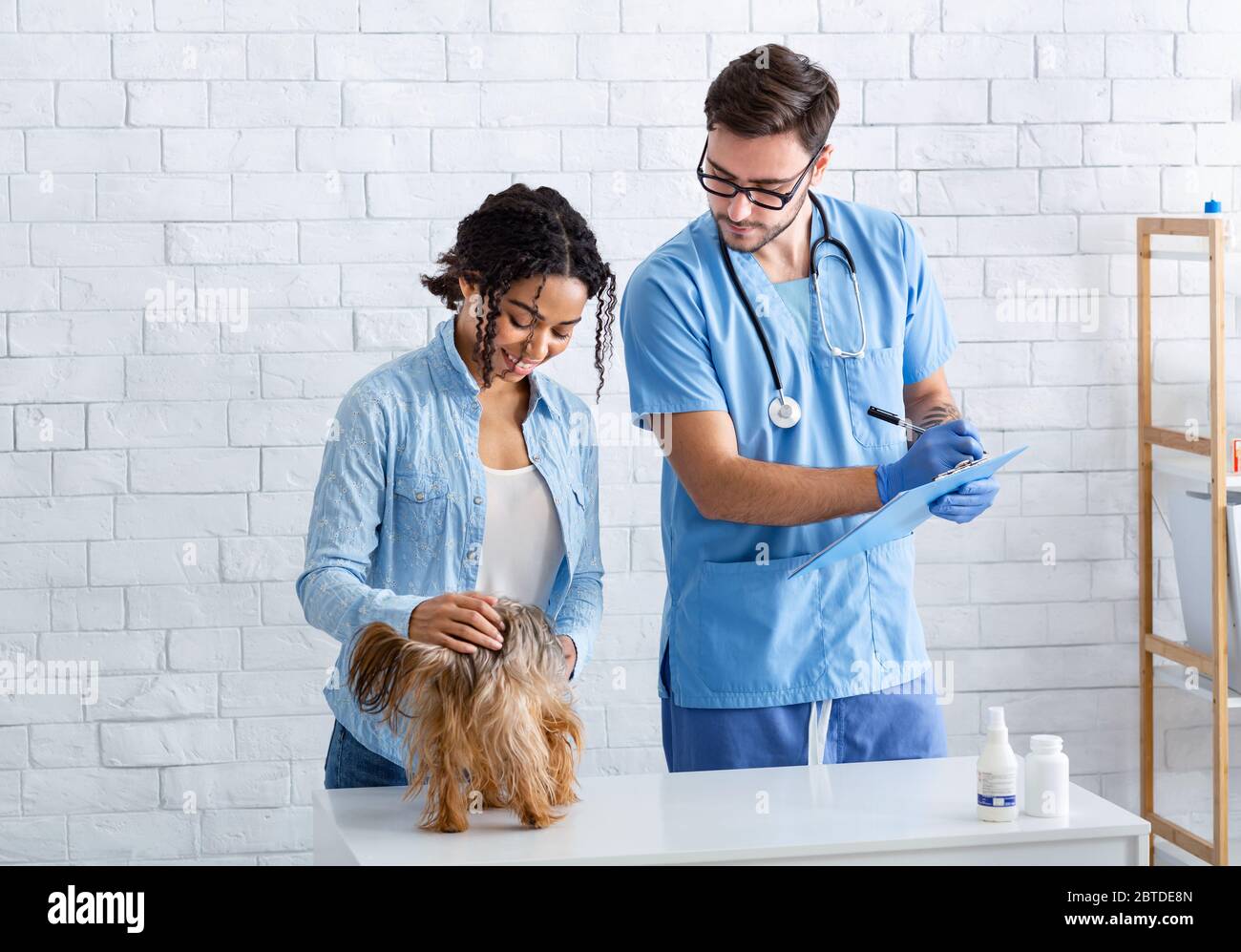 Tempo di visitare il veterinario. Donna afroamericana con cane che consulta medico animale in ospedale Foto Stock