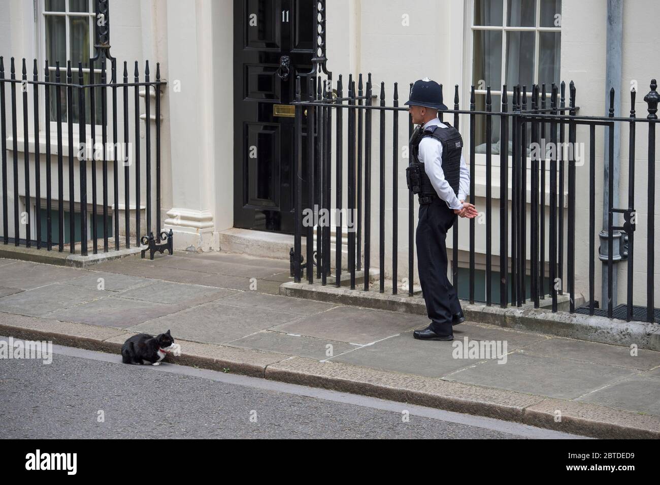 Ufficiale di polizia in servizio fuori 10 Downing Street guarda Palmerston, capo Mouser al Foreign & Commonwealth Office a Whitehall, Londra, Regno Unito Foto Stock