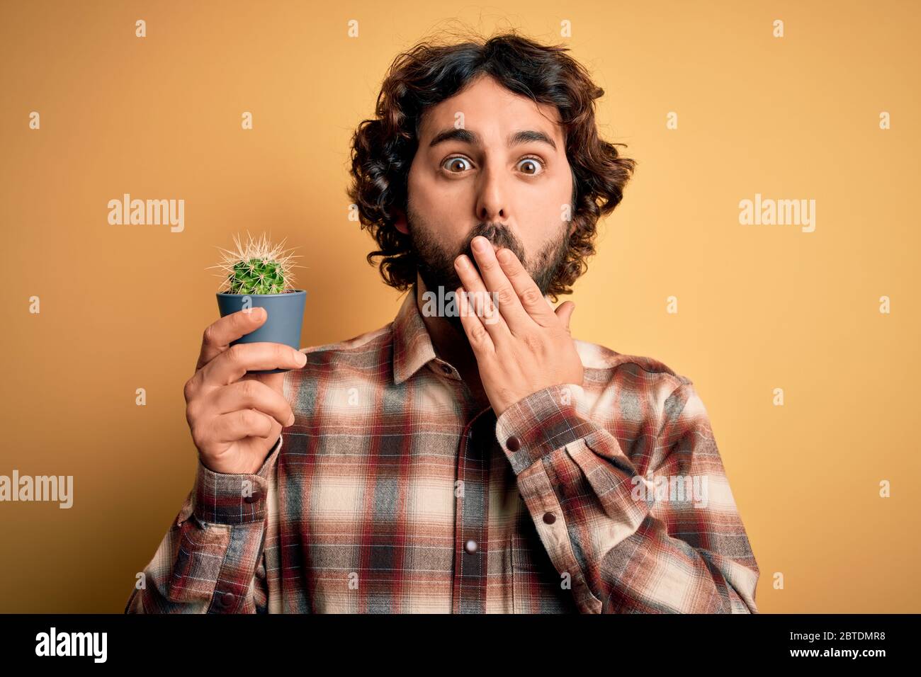 Giovane uomo con capelli ricci e barba che tiene piccola pentola di pianta di cactus sopra la bocca di copertura gialla di fondo con la mano scioccata con vergogna per errore, si espella Foto Stock