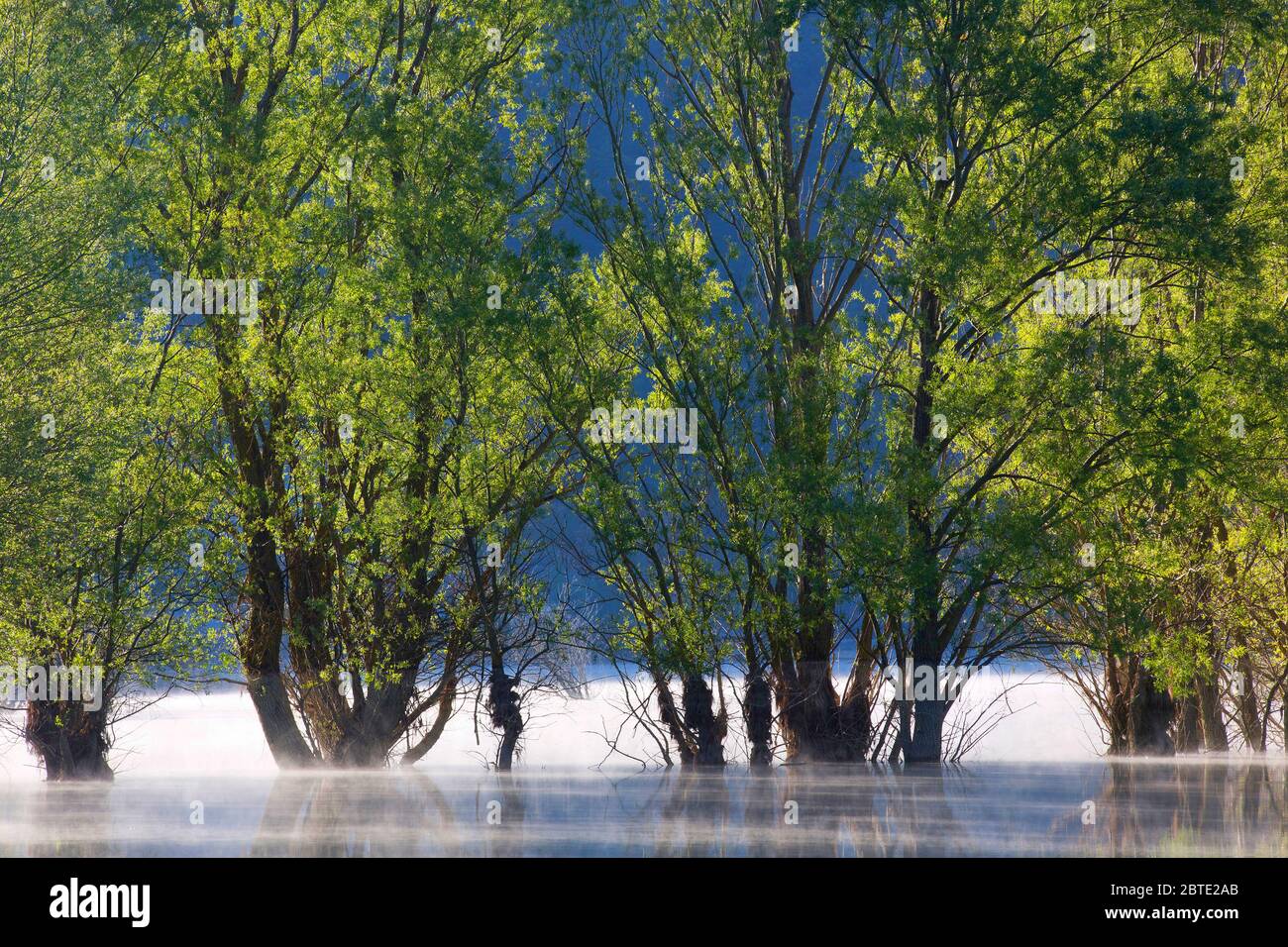 Paesaggio fluviale ai Pirenei spagnoli, Spagna, Ordessa Foto Stock