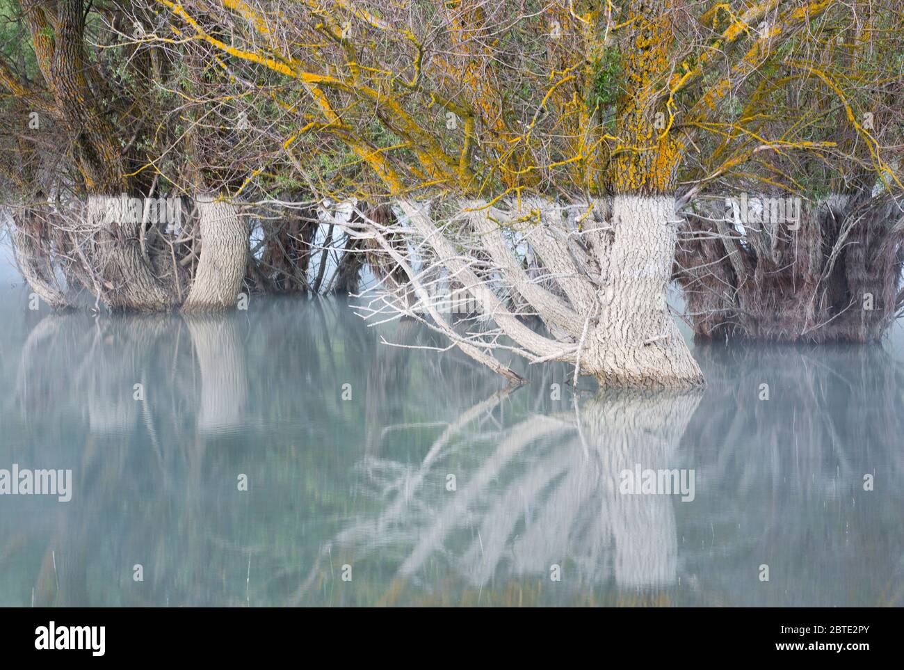Pianura alluvionale ai Pirenei spagnoli, Spagna, Ordessa Foto Stock
