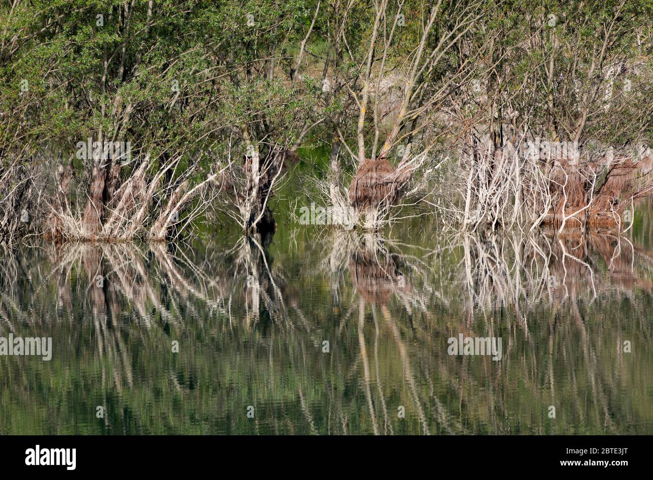 Paesaggio fluviale ai Pirenei spagnoli, Spagna, Ordessa Foto Stock