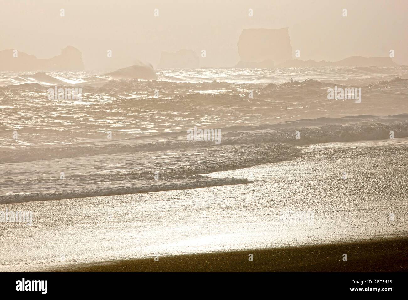 Paesaggio della costa islandese, Islanda, Vik, Dyrholaey Foto Stock
