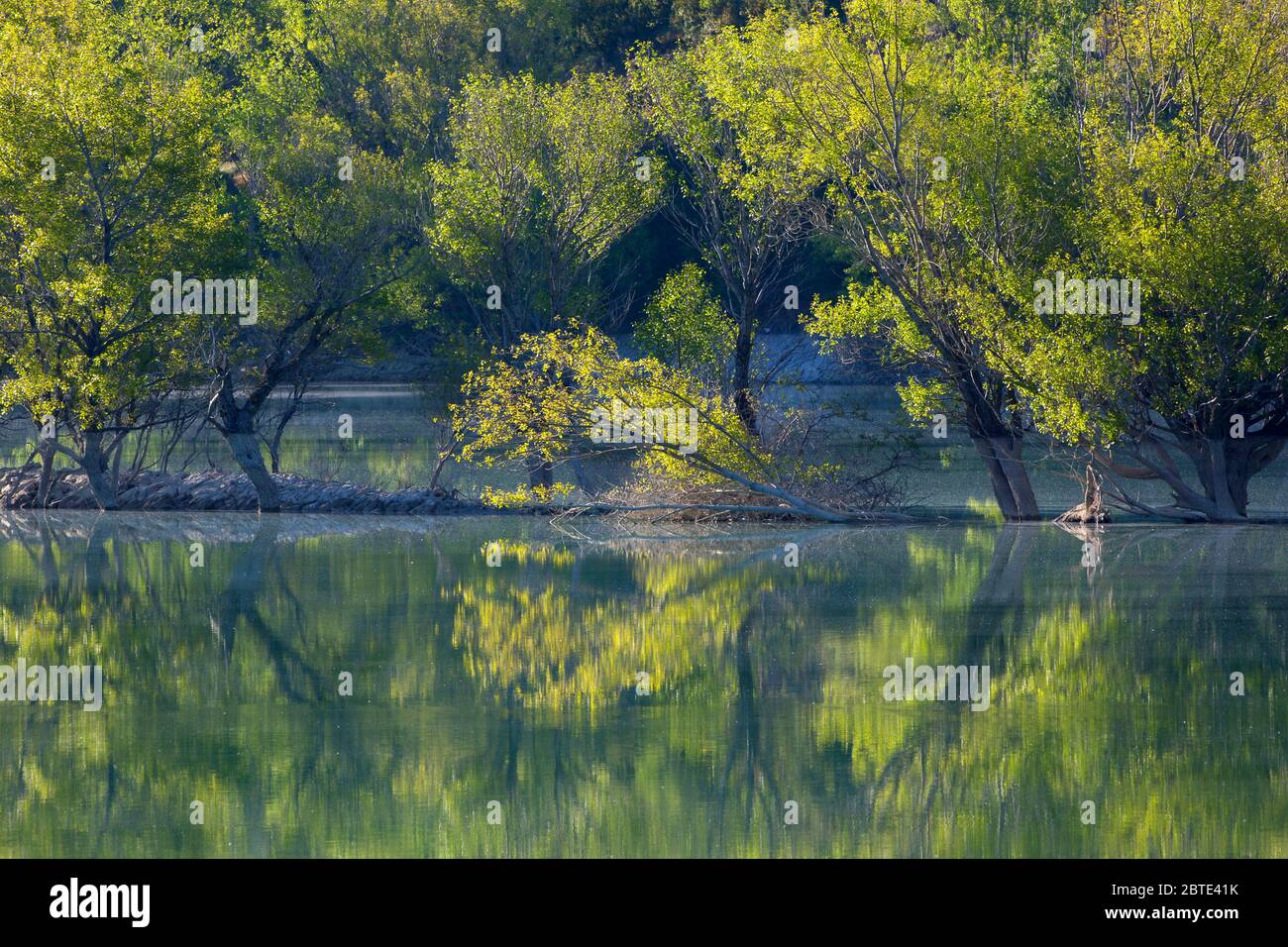 Paesaggio fluviale ai Pirenei spagnoli, Spagna, Ordessa Foto Stock