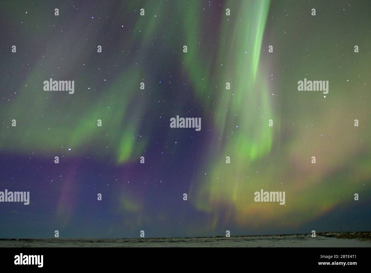 Luci del nord, Islanda Foto Stock