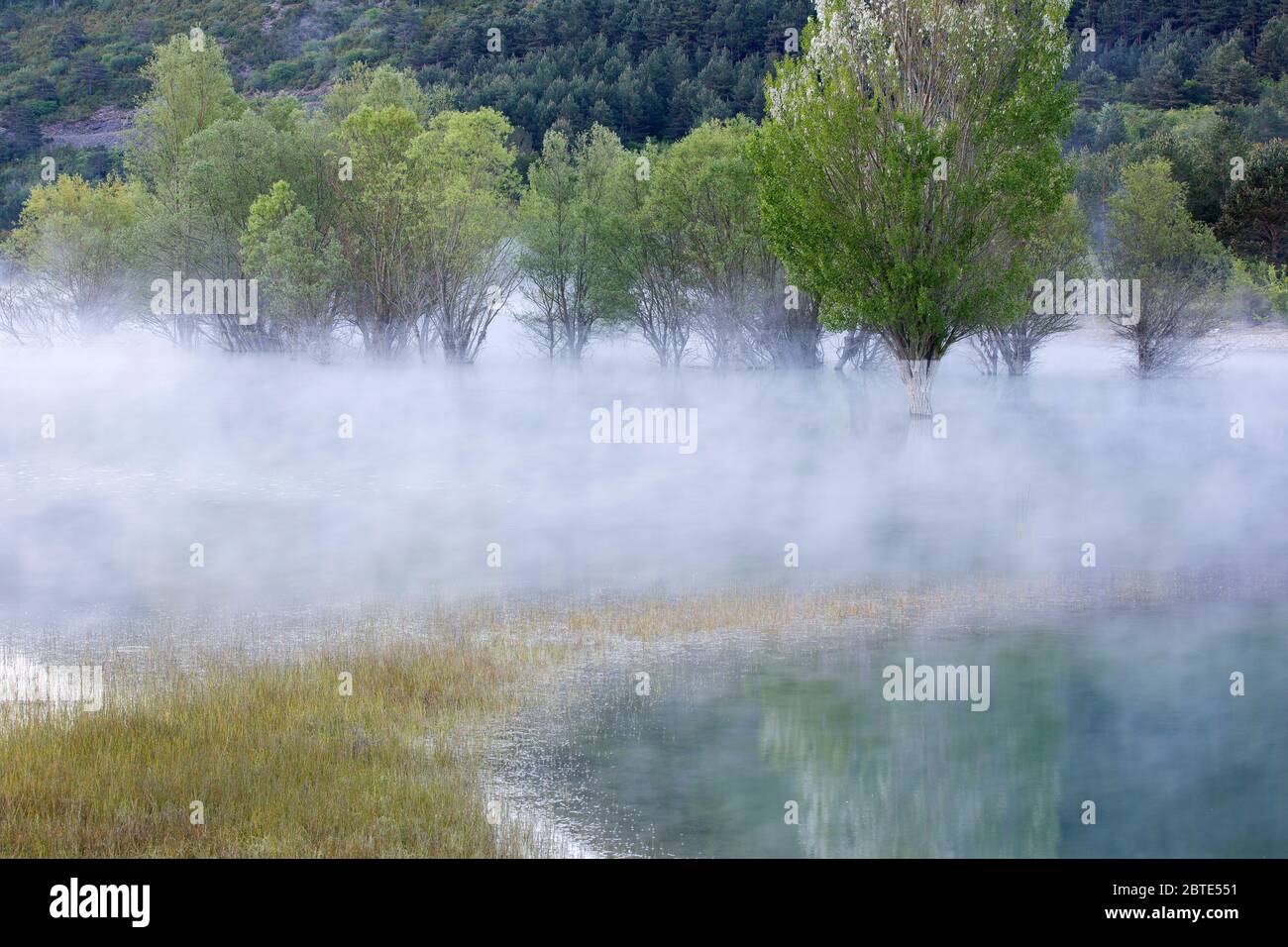 Paesaggio fluviale ai Pirenei spagnoli, Spagna, Ordessa Foto Stock