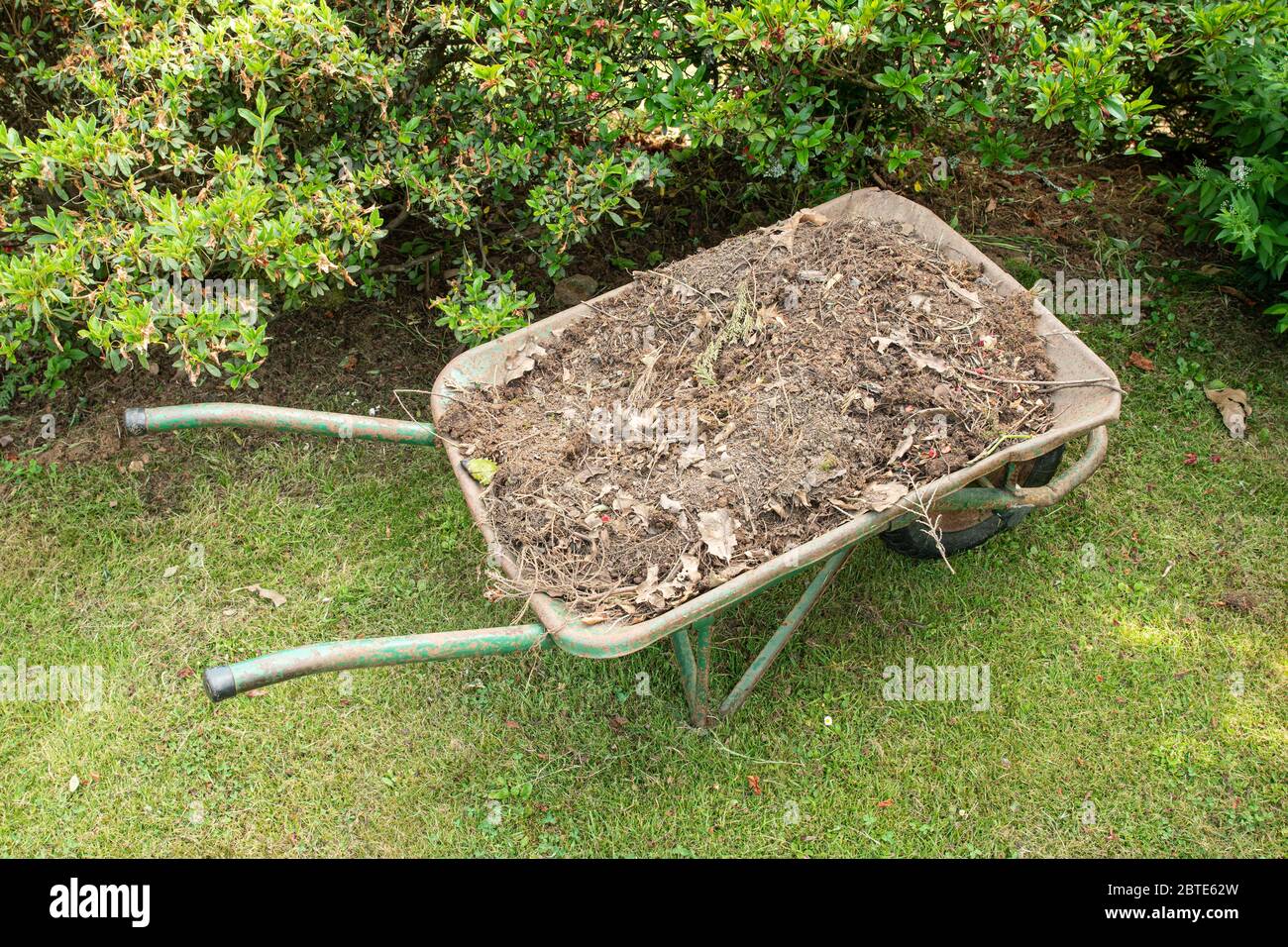 Carriola piena di terreno o composto su un giardino. Attrezzo di giardinaggio Foto Stock