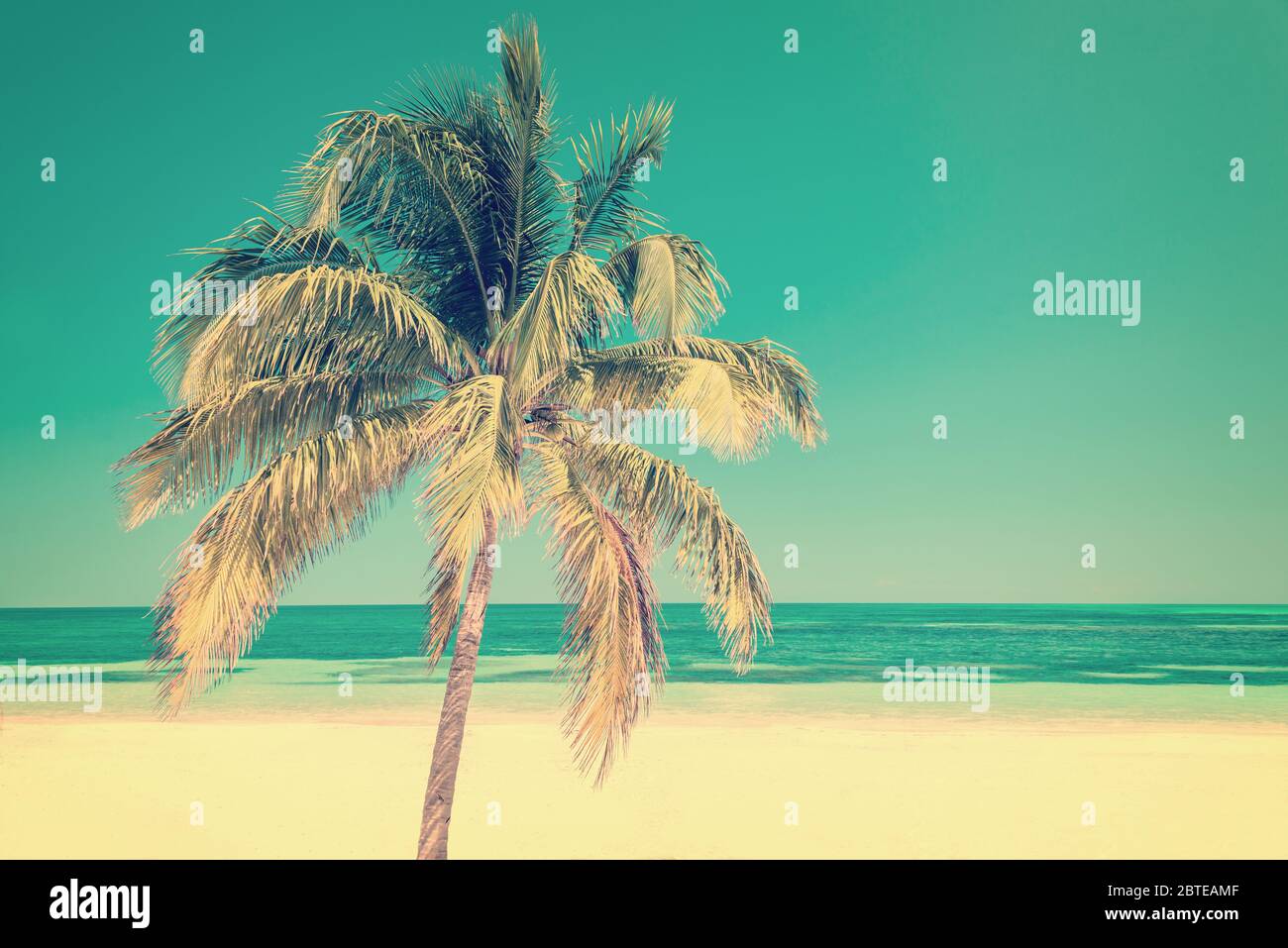 Palma su una spiaggia a Cayo Lebisa Cuba, processo in stile vintage Foto Stock