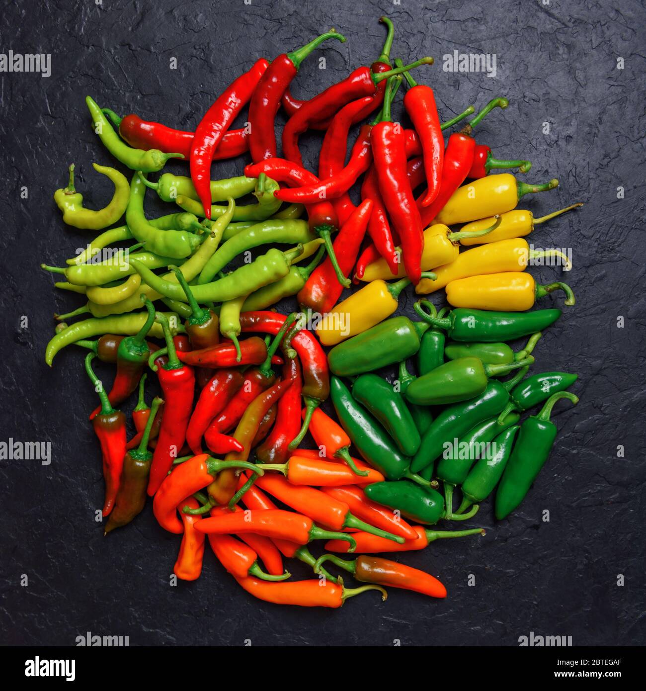 Diversi colori peperoni caldi su fondo nero closeup. Fotografia alimentare Foto Stock