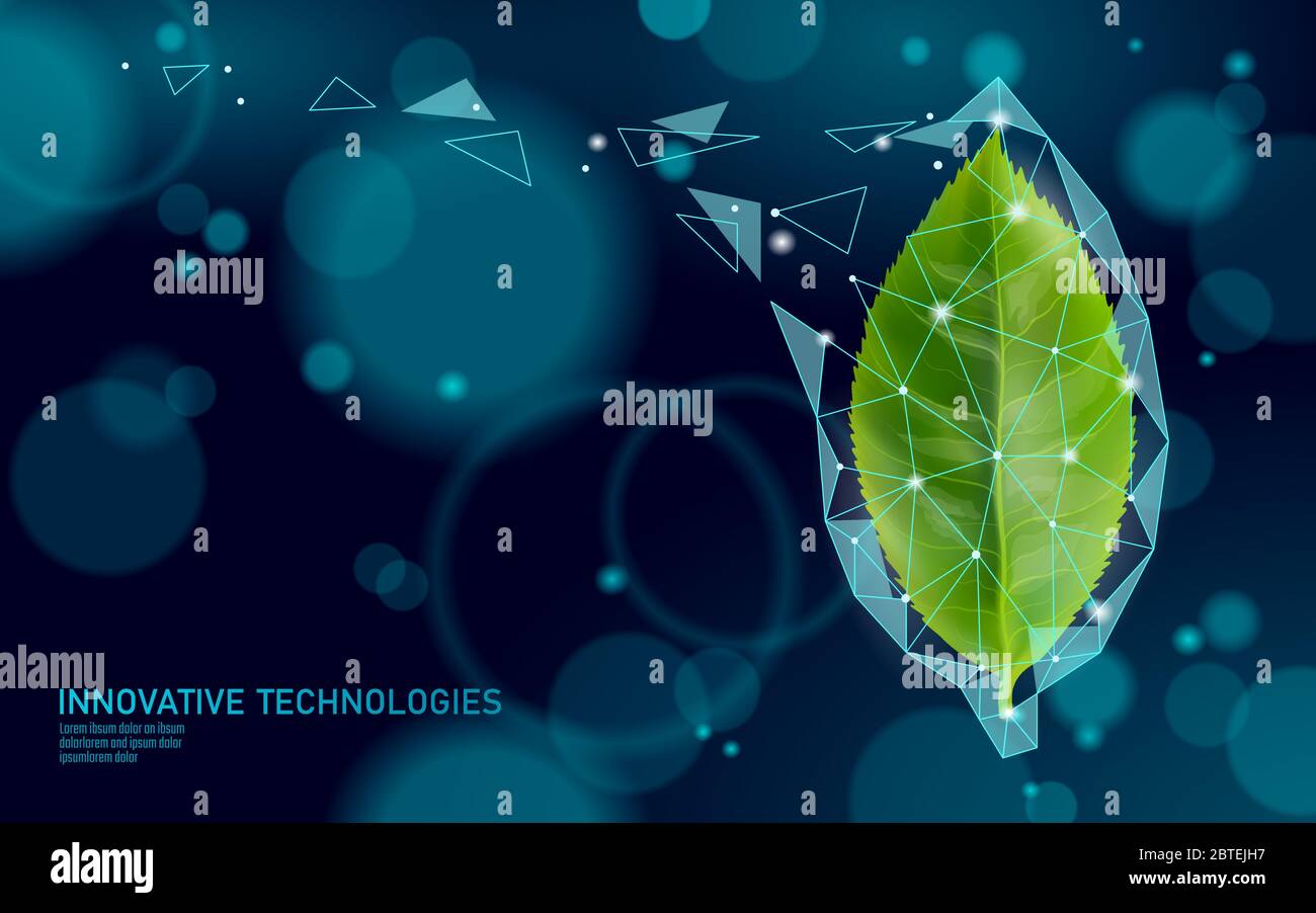 Tè verde estratto organico essenziale. Supplemento cosmetico per la cura della pelle. Modello di poster di vitamina di medicina di salute. Tecnologia innovativa 3D ecologico realistico Illustrazione Vettoriale