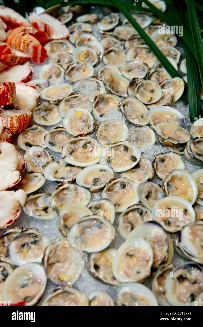 Buffet di pesce durante la celebrazione dell'evento. Con vongole grezze sulla semiguscio. Vongole brulate e scopate accatastate su ghiaccio tritato. Foto Stock