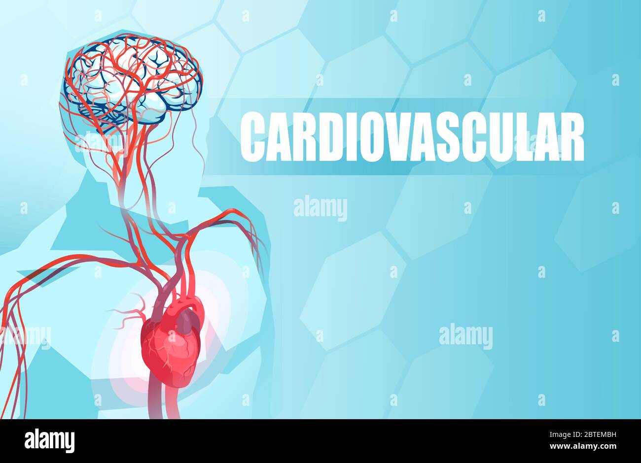 Illustrazione schematica del sistema vascolare circolatorio umano, dell'anatomia cardiaca e dell'apporto di sangue cerebrale Illustrazione Vettoriale