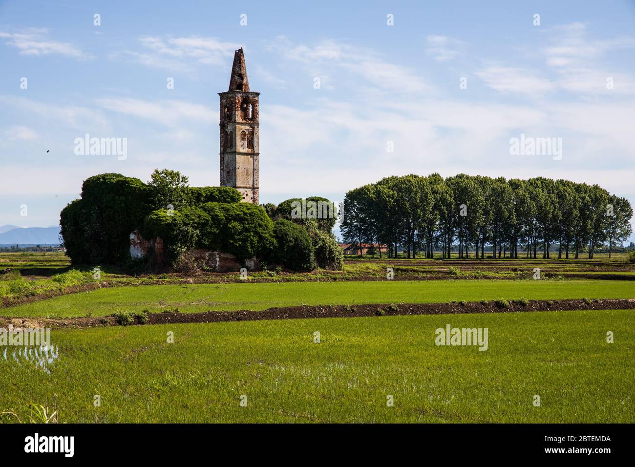 Scorci della campagna di Novara, Novara, Piemonte, Italia Foto Stock