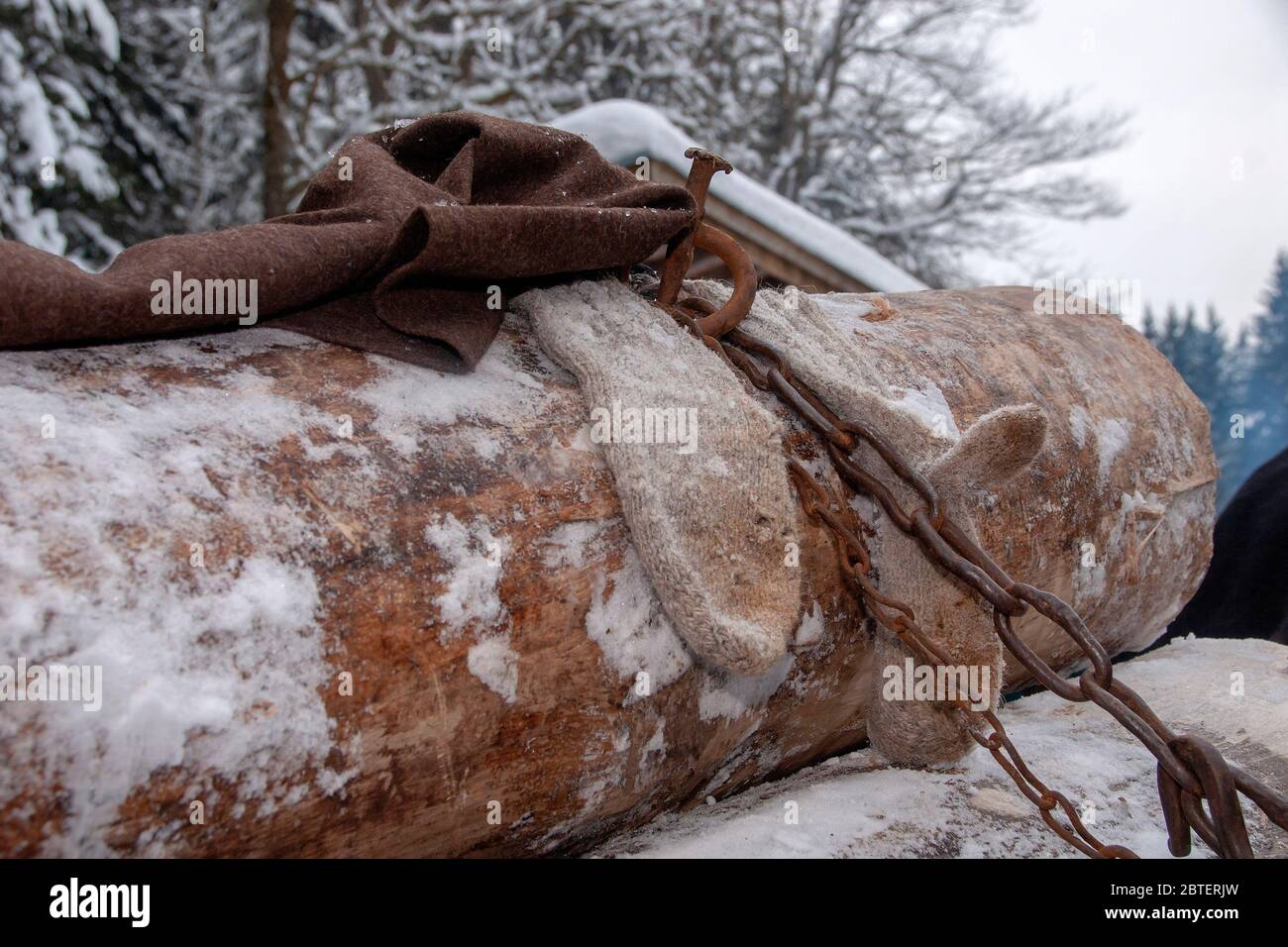 Holzbringung bei Hammer (GMD. Herrlichem Winterwetter - Historiischer Winterzug - an der Blaserhütte in Hachau - mit Schlitten und Pferden Foto Stock