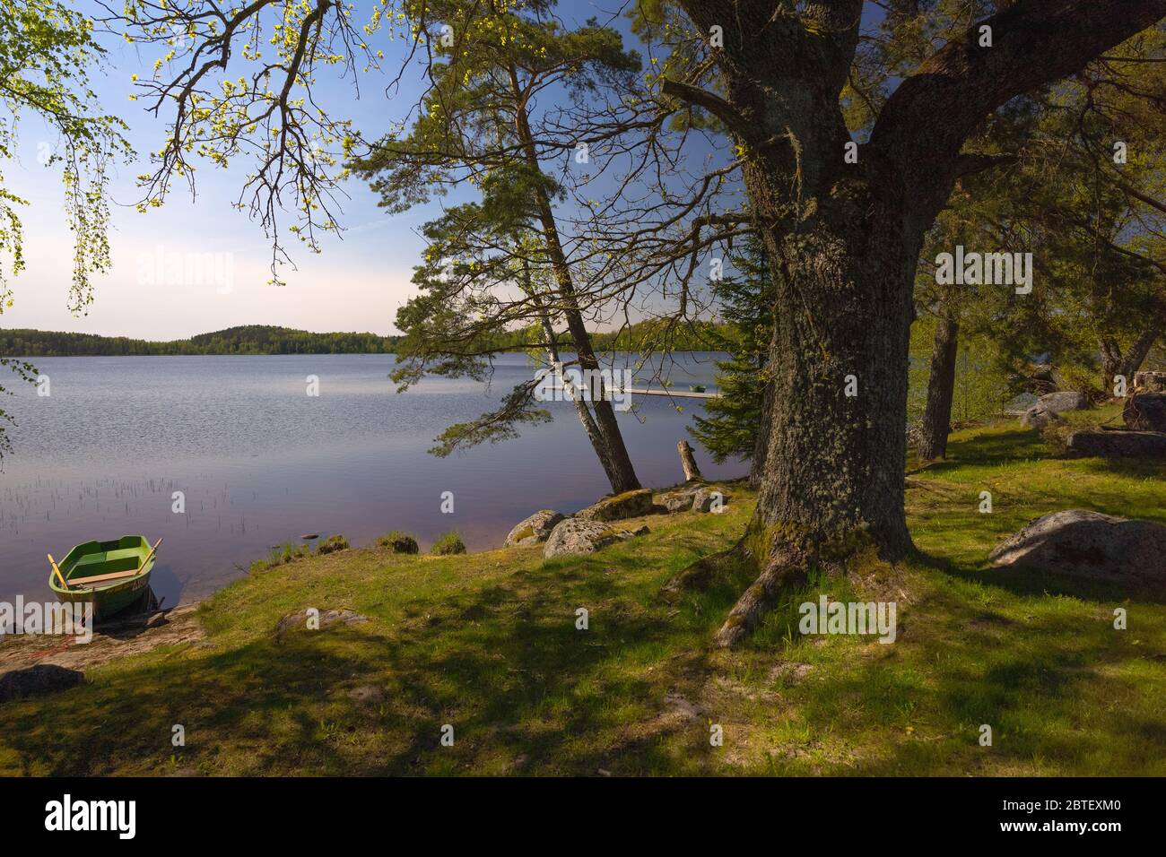 Passeggia lungo il lago tra gli alberi in una soleggiata giornata di primavera. Barche con remi ormeggiati alla riva. Grandi pietre ricoperte di muschio giacciono sull'erba verde. La Foto Stock