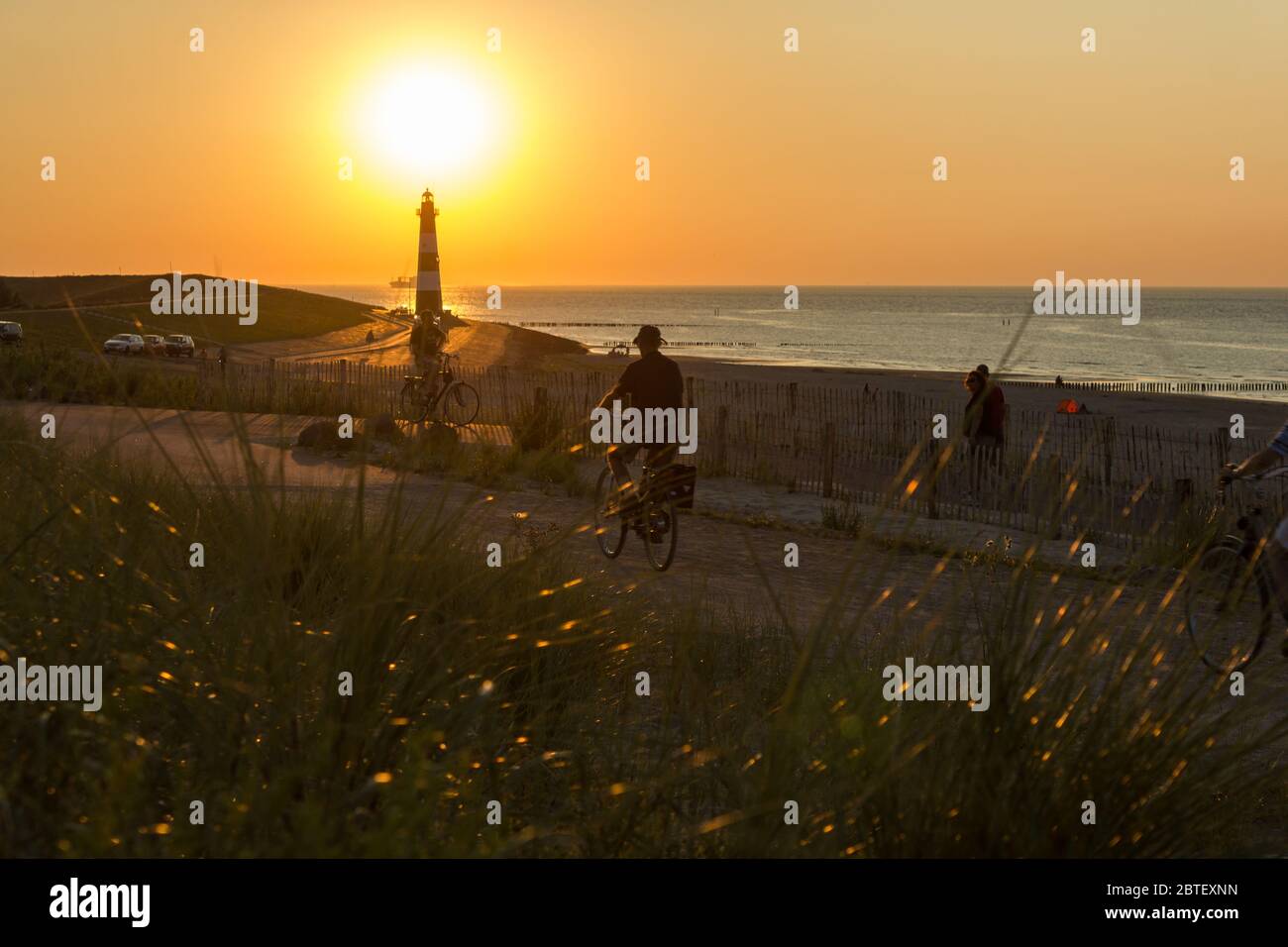 I turisti in bicicletta sulla diga di Brekens al tramonto con il faro Nieuwe Sluis e il mare del nord sullo sfondo Foto Stock