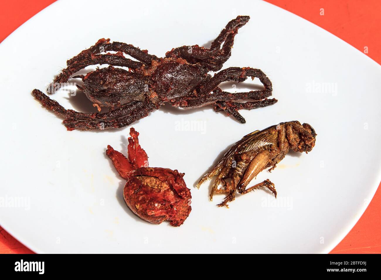 Tarantula impanata e fritta, insieme a una piccola rana e un grande grassopper, sono esposti su un piatto prima di essere mangiati. In vendita a Skuon Foto Stock