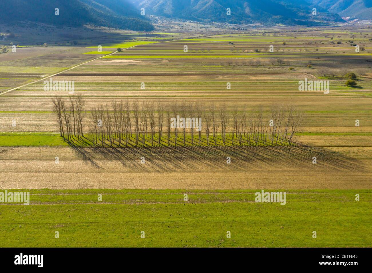 Vista aerea del lago Stymphalia situato nel Peloponneso, Grecia Foto Stock