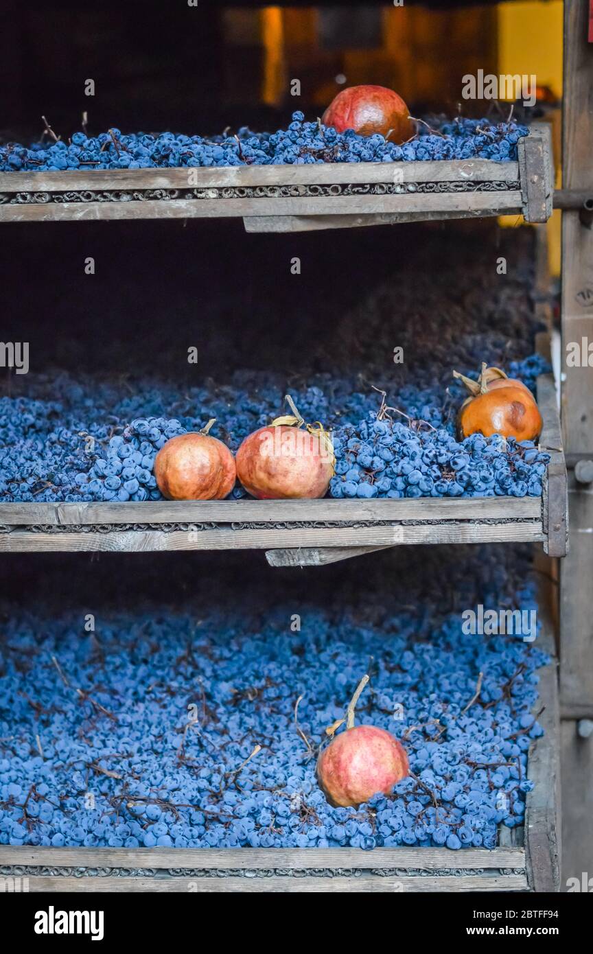 Uve lasciate asciugare, tradizionalmente su stuoie di paglia per produrre vino amarone italiano. Foto Stock