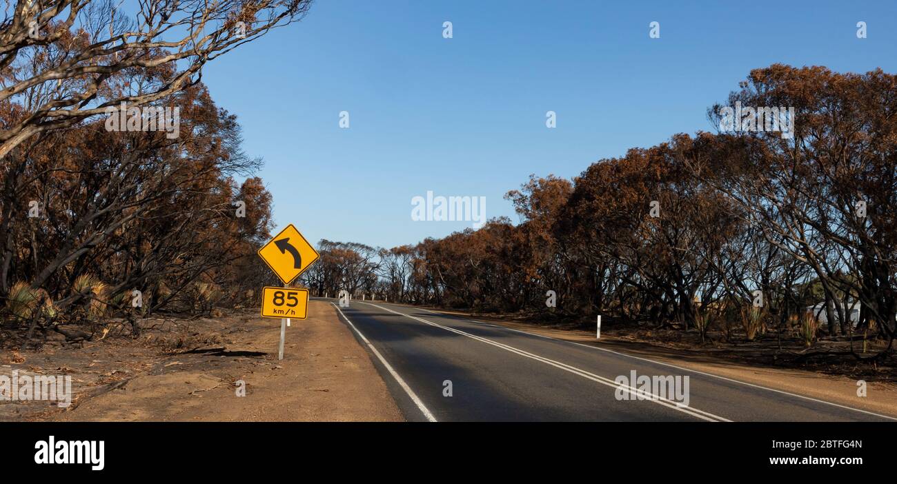 Una strada di campagna a Kangaroo Island, dopo gli incendi boschivi in australia nel 2019-2020 Foto Stock