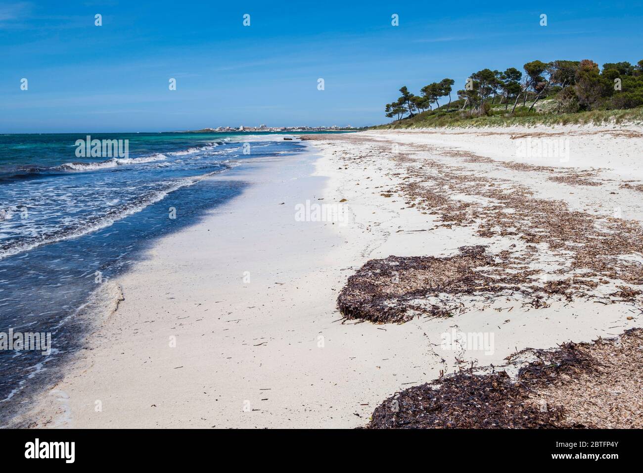 Es Carbo Beach, Ses Salines, Mallorca, Isole Baleari, Spagna. Foto Stock