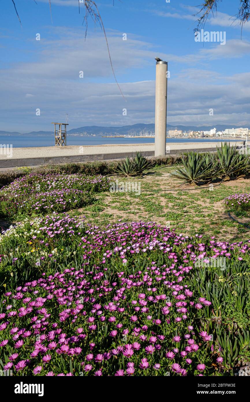 Playa de Palma , El Arenal, Maiorca, Isole Baleari, Spagna. Foto Stock