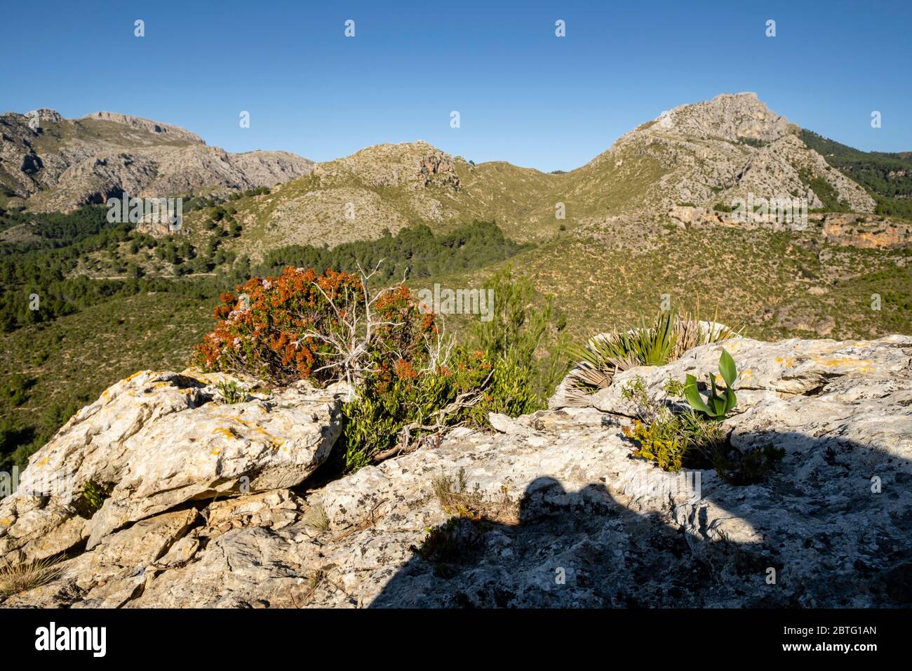 Puig de Galatzó, 1027 metros de altura, Sierra de Tramuntana, Mallorca, Isole Baleari, Spagna. Foto Stock