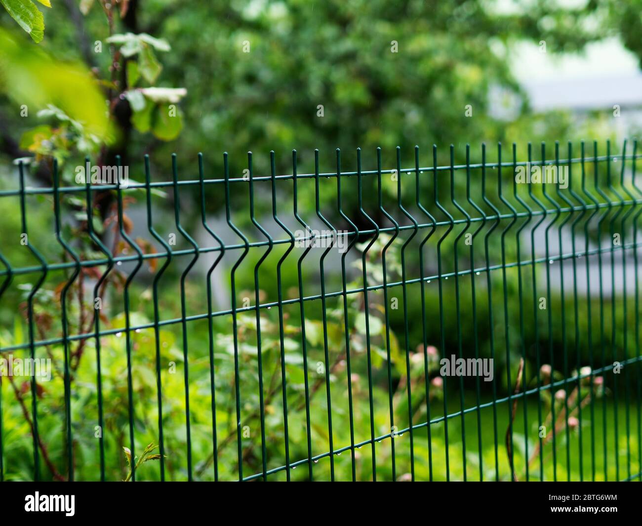 Recinzione da giardino in rete metallica Foto Stock