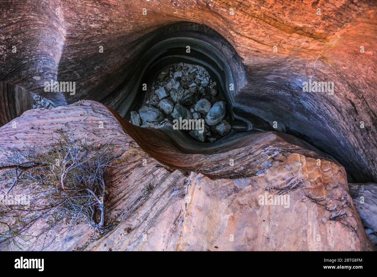 Stretto canyon slot vicino all'inizio di molte piscine Trail nella zona di Zion Wilderness. Foto Stock