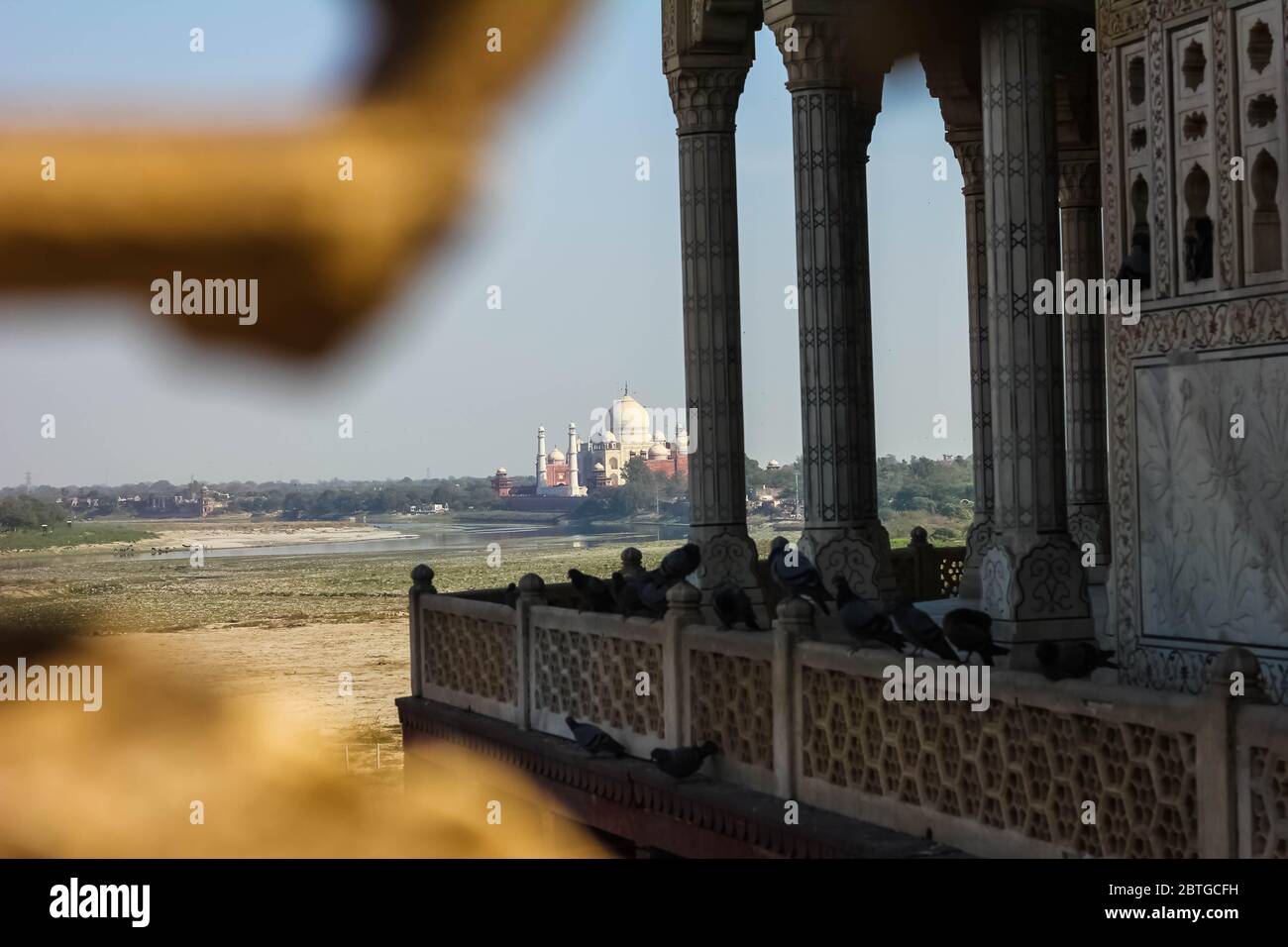 Vista del Taj Mahal dal reticolo jali ad Agra, Uttar Pradesh, India. Fu costruito da shah jahan come monumento per la sua seconda moglie Mumtaz Mahal Foto Stock