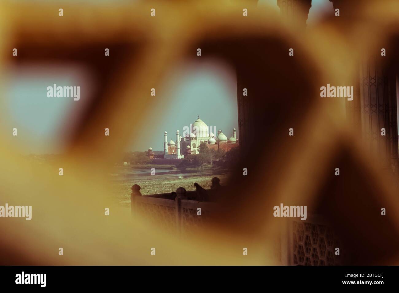 Vista di Taj Mahal da reticolo jali in Agra, Utttar Pradesh, India. Effetto stile di ripetizione Foto Stock