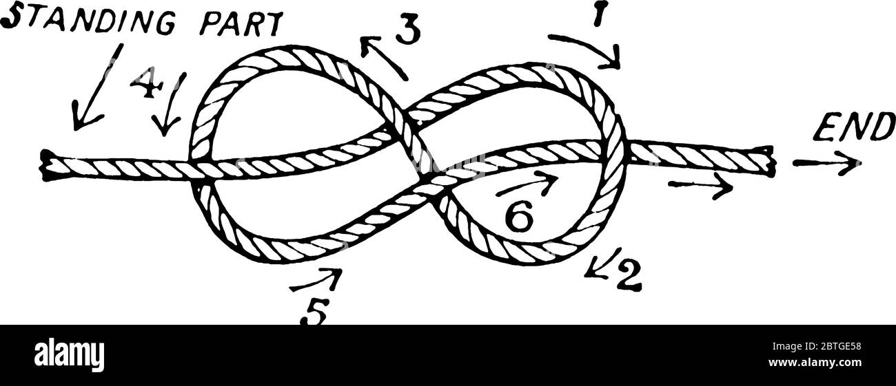 Rappresenta, la figura otto nodo. Il loop di un nodo è chiamato come, luminoso; la parte opposta all'estremità libera della corda è chiamata come, parte in piedi, Vintag Illustrazione Vettoriale