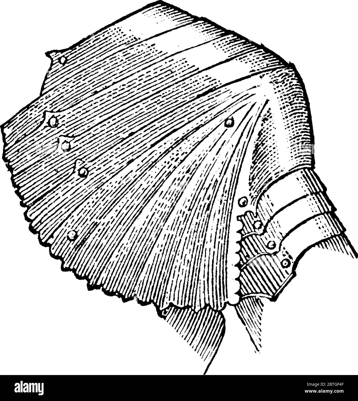 La spalla nell'armatura del XIV secolo, specialmente quando piccola e aderente alla persona, rispetto al grande pauldro Illustrazione Vettoriale