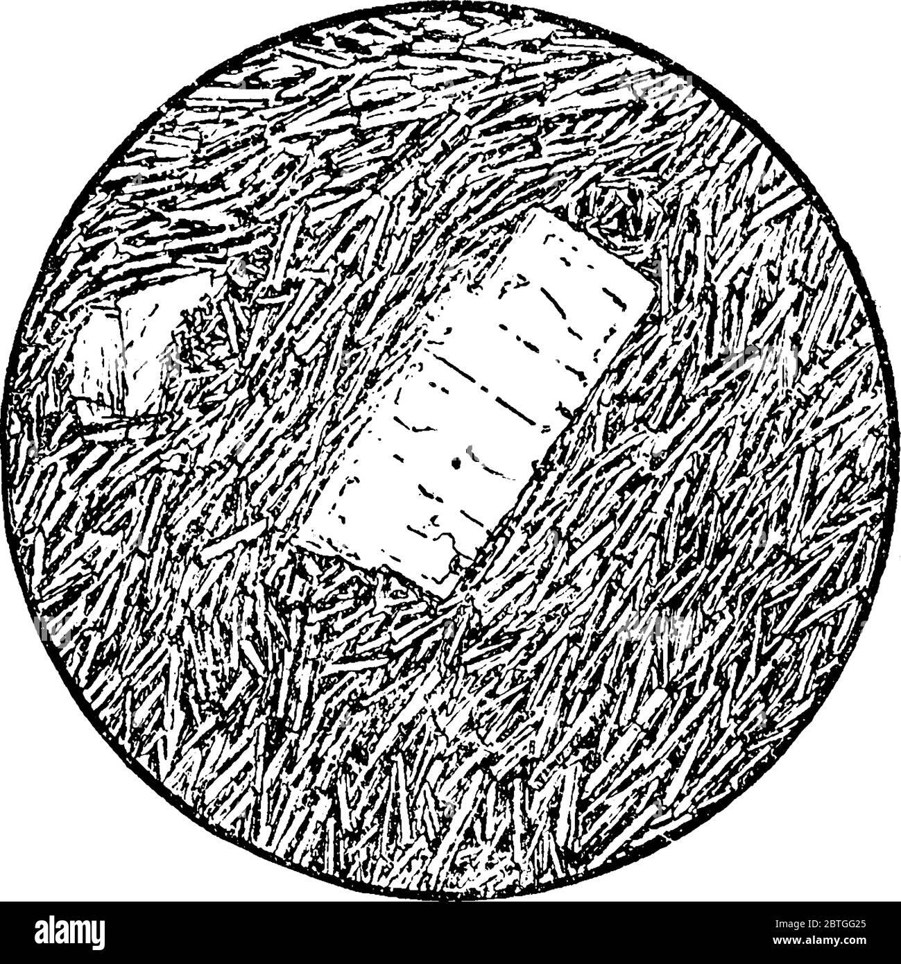 Una roccia vulcanica ignea con una trama da aforitica a porfiritica, disegno di linee d'annata o illustrazione dell'incisione. Illustrazione Vettoriale