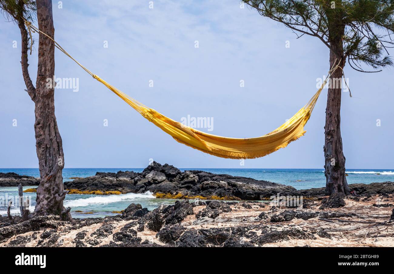 Amaca gialla, Makalawena Beach, Hawaii, Stati Uniti. Foto Stock