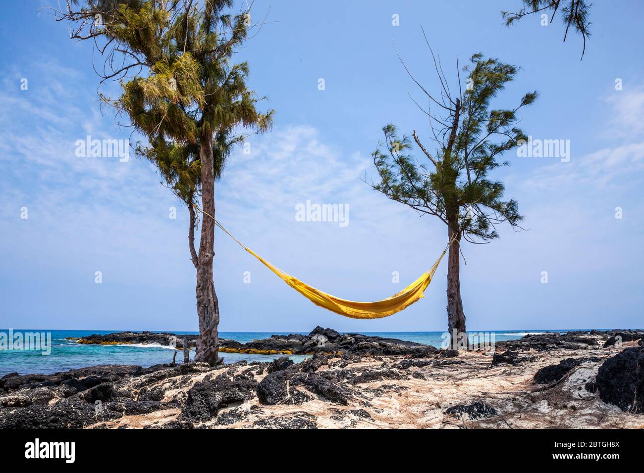 Amaca gialla, Makalawena Beach, Hawaii, Stati Uniti. Foto Stock