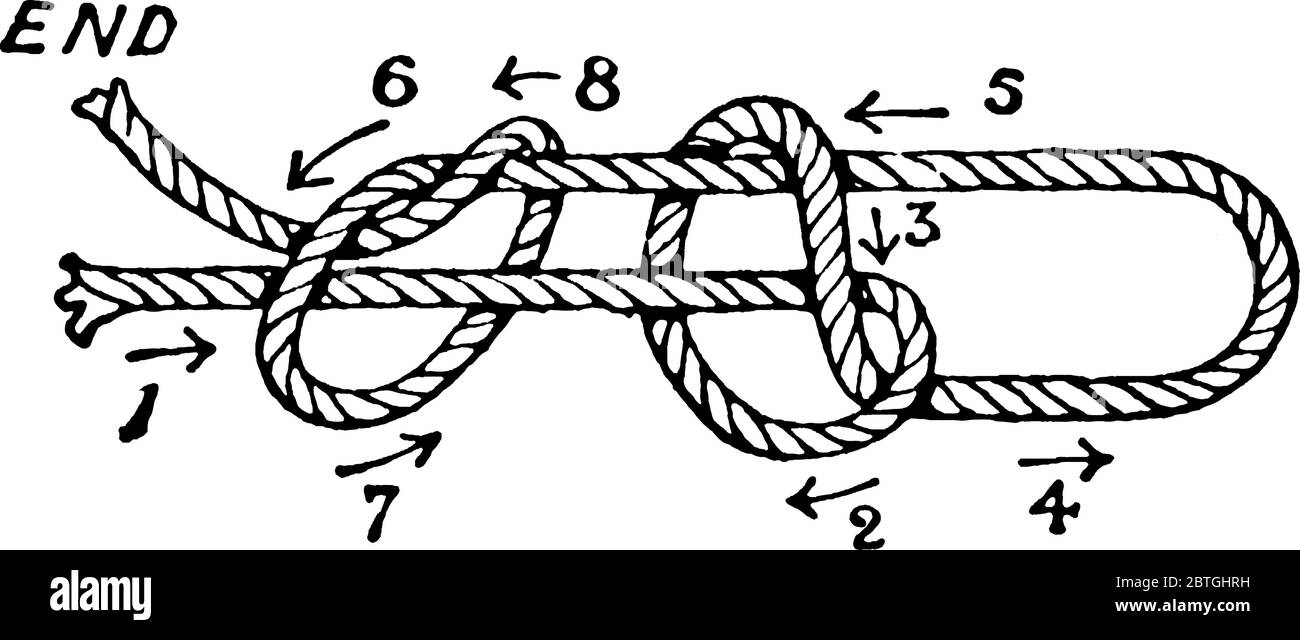 Anello fiammingo. Il loop di un nodo è chiamato come, luminoso; la parte opposta all'estremità libera della corda è chiamata come, parte in piedi, disegno di linea vintage o. Illustrazione Vettoriale