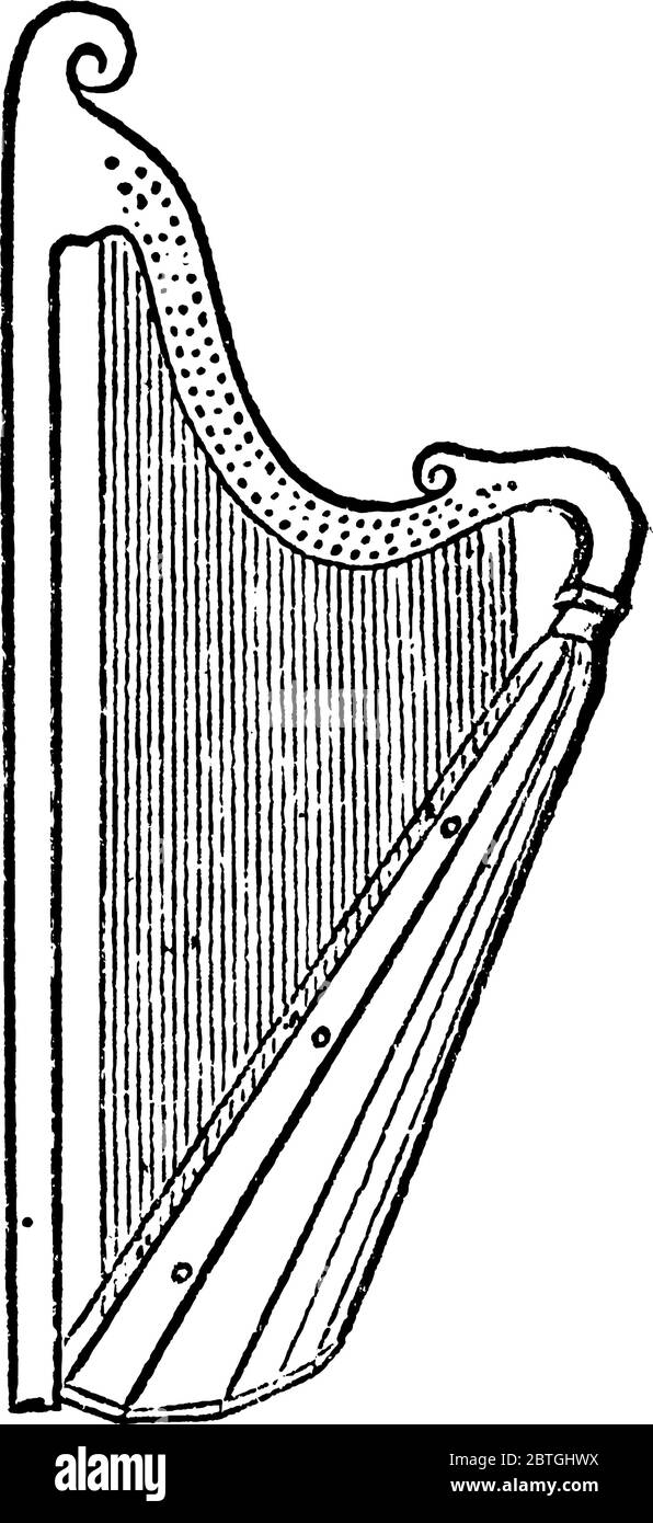 Corde dello strumento musicale a corda che viene stropicciato dalle dita, per produrre suono e musica. Ha un certo numero di stringhe individuali che sono Illustrazione Vettoriale