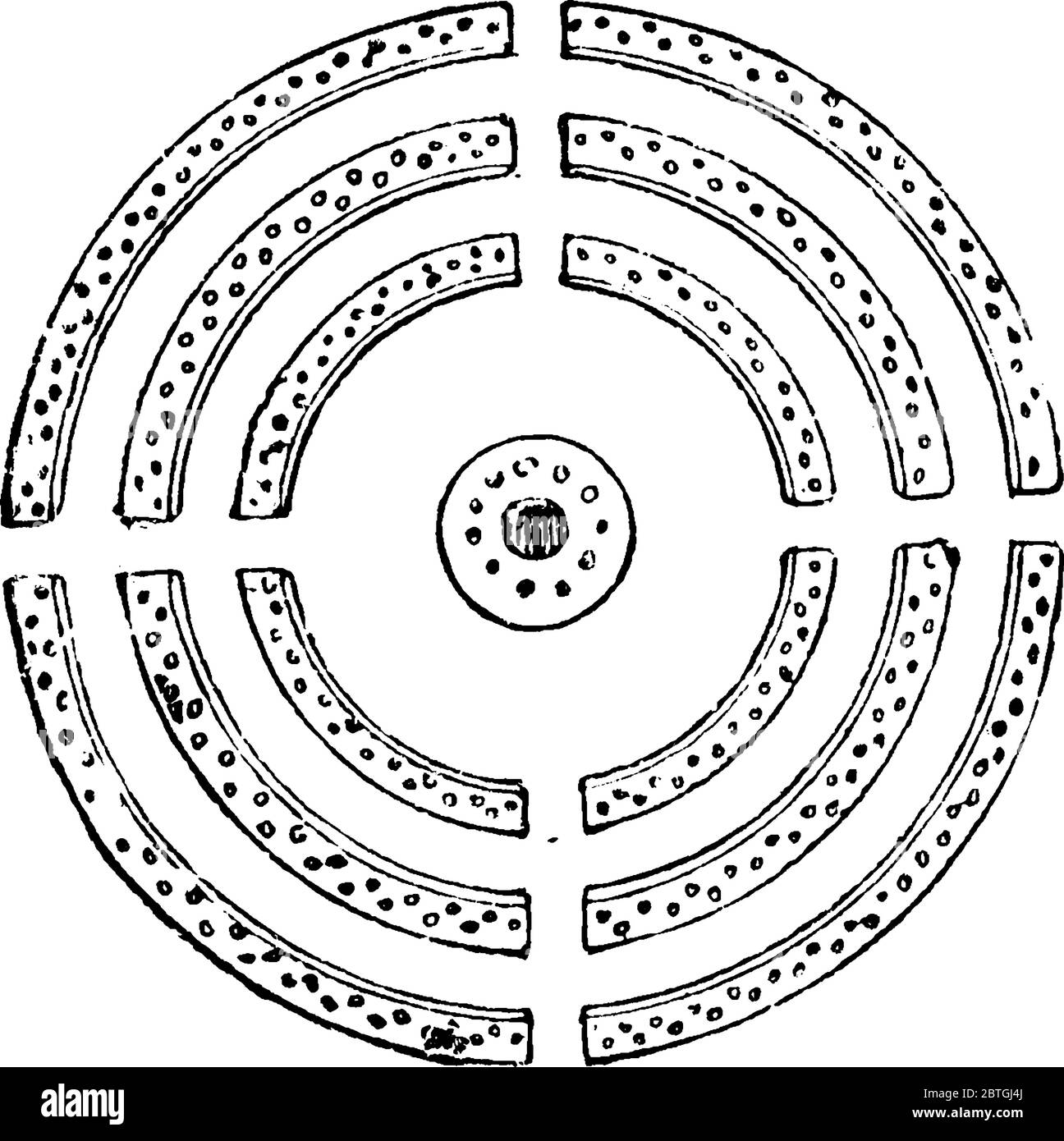 Design circolare in cui alberi di rose e arbusti sono disposti in giardino, disegno di linea d'epoca o illustrazione di incisione. Illustrazione Vettoriale