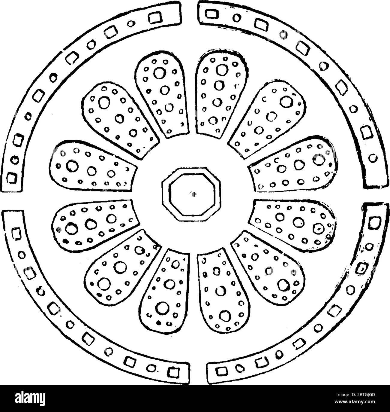 Disegno per la disposizione degli alberi di rosa e degli arbusti nel giardino, disegno di linea d'epoca o illustrazione di incisione. Illustrazione Vettoriale