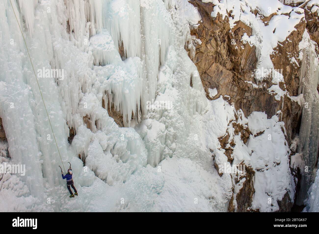 Ouray, Colorado / USA - 26 gennaio 2020: Scalatore di ghiaccio femminile scalando una parete massiccia di ghiaccio Foto Stock