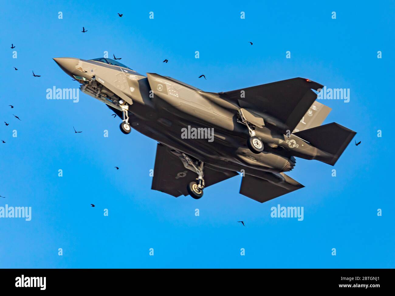 Un combattente F-35A Lightning II vola attraverso un gregge di Ravens (Corvus corax) mentre si avvicina alla pista della base dell'aeronautica di Hill, Layton, Utah, USA. Foto Stock