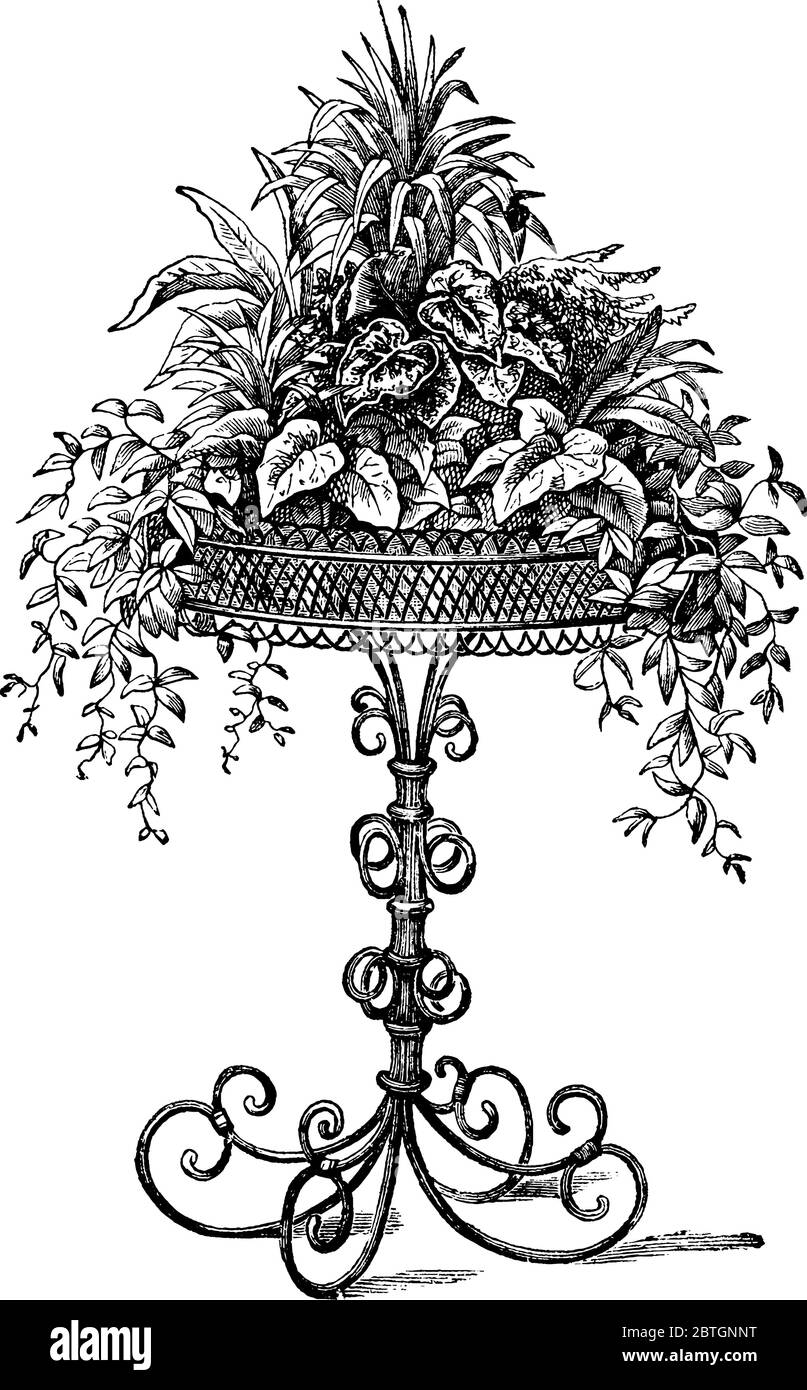 Stand di pianta fatto di rattan o Willow, disegno di linea vintage o illustrazione di incisione. Illustrazione Vettoriale