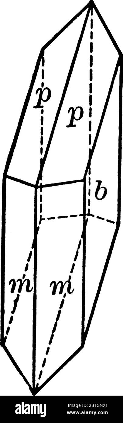 Il gesso è un minerale di solfato morbido composto da solfato di calcio deidrato, disegno di linea d'annata o illustrazione di incisione. Illustrazione Vettoriale